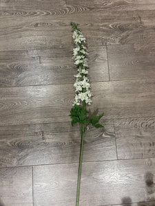 Delphinium White