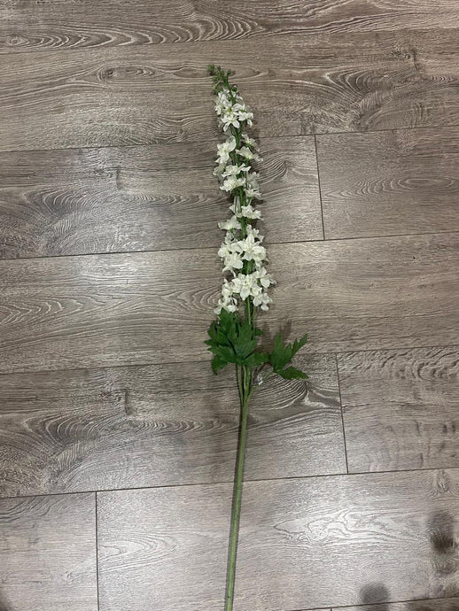 Delphinium White