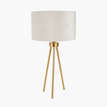 Load image into Gallery viewer, Houston Brushed Brass Table Lamp