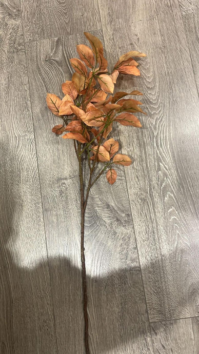 Beech Spray Orange
