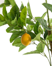 Load image into Gallery viewer, Large Potted Lemon Tree