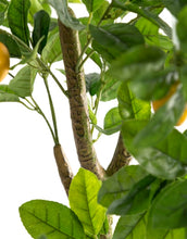 Load image into Gallery viewer, Large Potted Lemon Tree