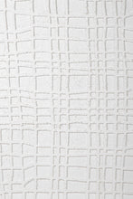 Load image into Gallery viewer, Papier Mache White Wall Art