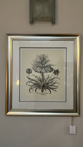 Dartmoor Botanical