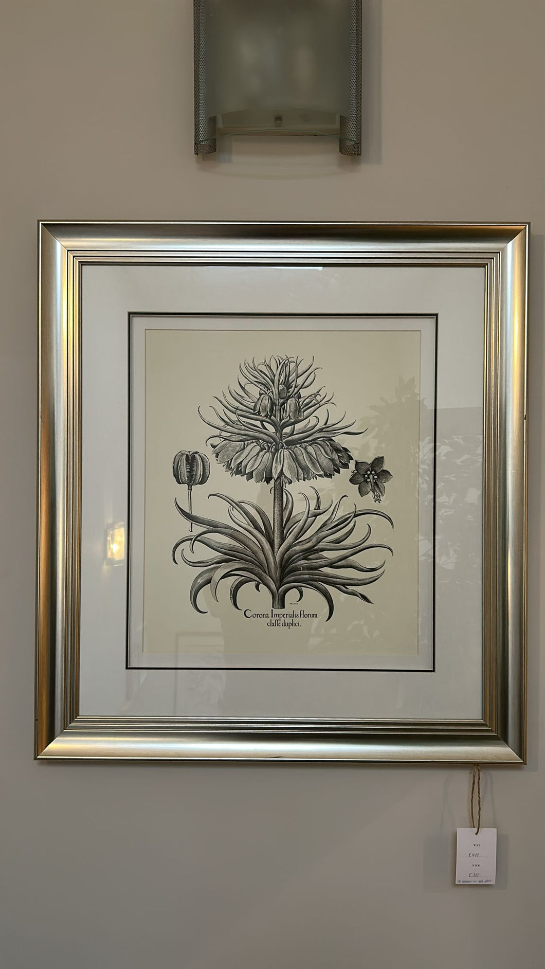 Dartmoor Botanical