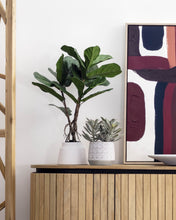 Load image into Gallery viewer, Lyrata artificial plant 60 cm - image 3