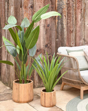 Load image into Gallery viewer, Yucca artificial plant - image 3
