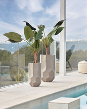 Load image into Gallery viewer, Baa artificial plant 160 cm - image 3