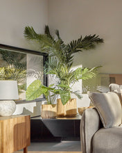 Load image into Gallery viewer, Artificial Alocasia Odora with black plantpot 57 cm - image 4
