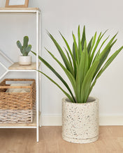 Load image into Gallery viewer, Yucca artificial plant - image 5