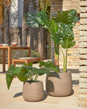 Load image into Gallery viewer, Artificial Alocasia Odora with black plantpot 57 cm - image 3