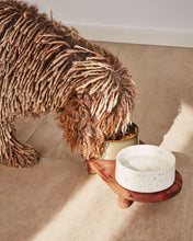 Load image into Gallery viewer, Dumbi set of 2 pet food and water bowls in white and brown Ø 14 cm - image 3