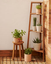 Load image into Gallery viewer, Victora outdoor shelving unit made from solid acacia wood, 42 x 150 cm FSC 100% - image 5