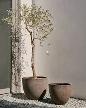 Load image into Gallery viewer, Serili set of 2 dark grey cement and fiberglass plant pots Ø 42 cm / Ø 50 cm - image 3