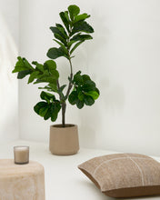 Load image into Gallery viewer, Ficus artificial 150 cm - image 3