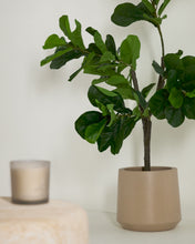 Load image into Gallery viewer, Ficus artificial 150 cm - image 4