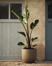 Load image into Gallery viewer, Selvi set of 2 planters with light brown stone effect Ø 37cm - image 2