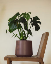 Load image into Gallery viewer, Calun maroon cement planter Ø 32cm - image 2
