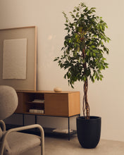Load image into Gallery viewer, Artificial Ficus tree in black pot 180 cm - image 3
