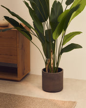 Load image into Gallery viewer, Sintina set of 3 grey cement and fiberglass plant pots Ø 23 cm / Ø 27.5 cm / 32 cm - image 4