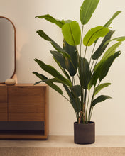 Load image into Gallery viewer, Artificial Banana plant in black pot 210 cm - image 3