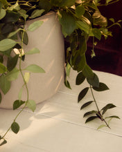 Load image into Gallery viewer, Calun beige cement planter Ø 32cm - image 3