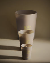 Load image into Gallery viewer, Bright Citrus citronella scented candle 900g - image 3