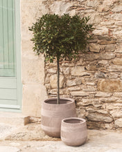 Load image into Gallery viewer, Tival set of 2 beige cement-effect planters Ø 50cm/Ø 34cm - image 2
