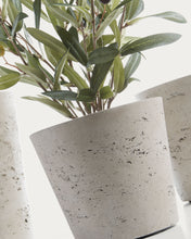 Load image into Gallery viewer, Low set of 3 planters grey Ø 23,5 cm / Ø 16,5 cm / Ø 14 cm - image 3