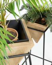 Load image into Gallery viewer, Stared planter - image 2