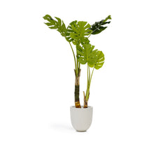 Load image into Gallery viewer, Monstera artificial plant 130 cm - image 2