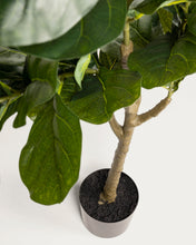 Load image into Gallery viewer, Ficus artificial 150 cm - image 5