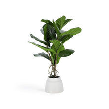 Load image into Gallery viewer, Lyrata artificial plant 60 cm - image 2