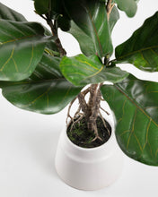 Load image into Gallery viewer, Lyrata artificial plant 60 cm - image 5
