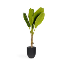 Load image into Gallery viewer, Baa artificial plant 160 cm - image 2