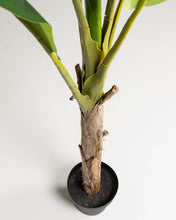 Load image into Gallery viewer, Baa artificial plant 160 cm - image 4