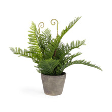 Load image into Gallery viewer, Filicopsida artificial plant - image 2