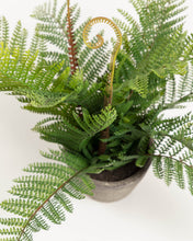Load image into Gallery viewer, Filicopsida artificial plant - image 3