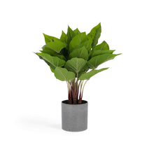 Load image into Gallery viewer, Anthurium artificial plant 50 cm