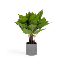 Load image into Gallery viewer, Anthurium artificial plant 50 cm - image 2