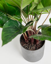 Load image into Gallery viewer, Anthurium artificial plant 50 cm - image 6