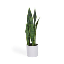 Load image into Gallery viewer, Artificial Sansevieria with white plantpot 55 cm