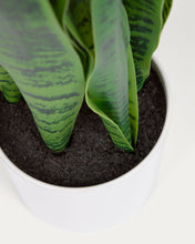 Load image into Gallery viewer, Artificial Sansevieria with white plantpot 55 cm - image 6