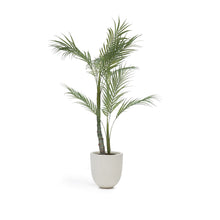 Load image into Gallery viewer, Artificial Palm Tree with black plantpot 70 cm - image 2