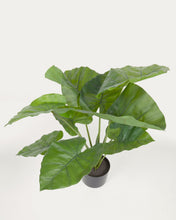 Load image into Gallery viewer, Artificial Alocasia Odora with black plantpot 57 cm - image 5
