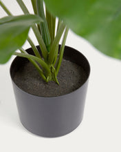 Load image into Gallery viewer, Artificial Alocasia Odora with black plantpot 57 cm - image 7