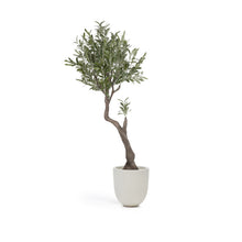 Load image into Gallery viewer, Artificial Olive Tree with black plantpot 140 cm - image 2