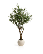 Load image into Gallery viewer, Artificial Olive tree with white pot 210cm