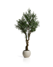 Load image into Gallery viewer, Artificial Olive tree with white pot 210cm - image 2