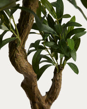 Load image into Gallery viewer, Artificial Olive tree with white pot 210cm - image 3